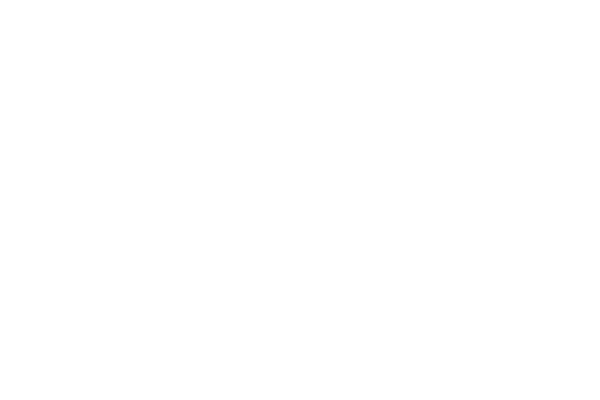 Supersized crispy Granvia. “Size matters”, The flower size of Granvia is much bigger than the regular Xerochrysum Bractheantha. This is what makes Granvia unique in its kind and the perfect centrepiece for your garden. The Granvia collection is an instant mood booster from the very first time you touch it. This collection comprises Xerochrysum Bracteantha with significant and long-lasting flowers and a unique crispy texture, reminiscent of thin and delicate paper. While multiple Bracteantha varieties are available in the market, the Granvia® variety stands out for its robustness, better branching, and earlier blooming. Additionally, it is easy to propagate and grow and delivers a strong garden performance.