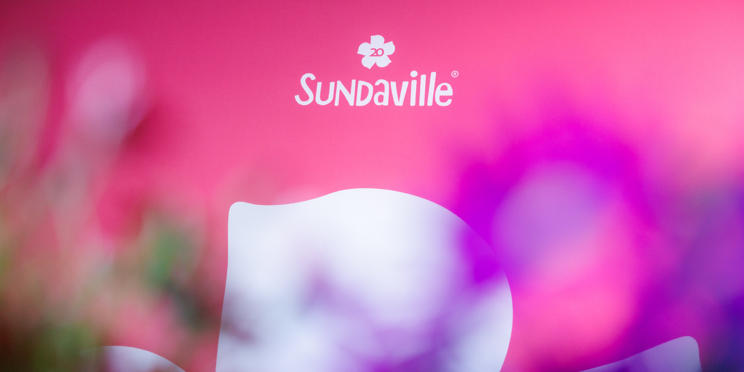 In 2003, MNP / Suntory and Suntory Flowers Ltd. introduced a truly revolutionary plant in the horticultural industry called Sundaville® Red, which was the first genuinely red Mandevilla. This plant boasts excellent branching and rich flowering, making it a perfect choice for outdoor use in tubs and baskets. Sundaville® is a low-maintenance and user-friendly plant that needs very little water but provides a massive flower show throughout the summer. As a result, it has become the number one choice for Mandevilla (Dipladenia) in the horticultural market.