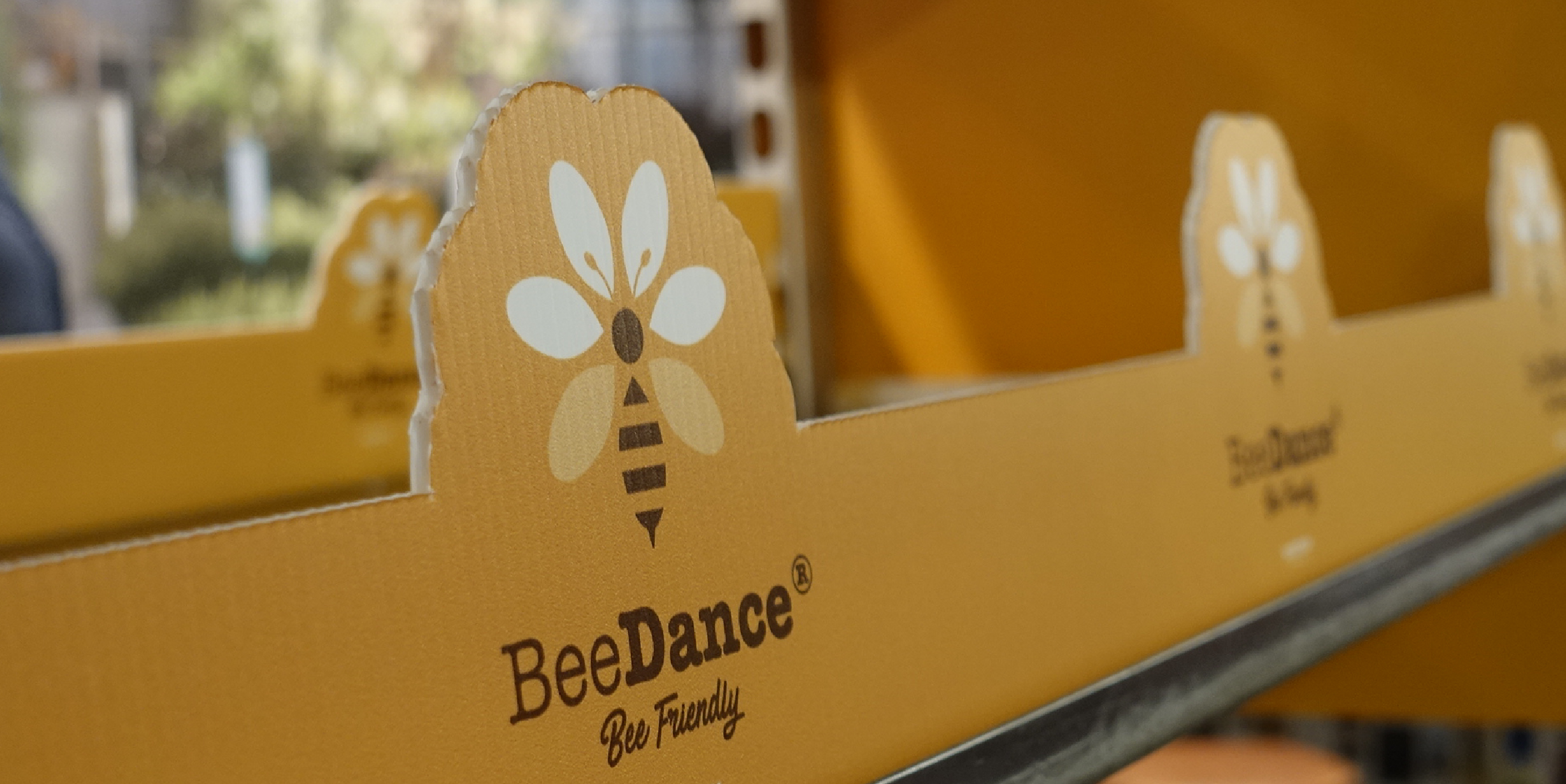 The bee-inspired Beedance® brand. The original Beedance® range consists of compact bee & bee-butterfly-attracting Bidens with striking red and yellow colours. These strong and healthy plants are suitable for almost every climate and can be used as a patio plant, in balcony boxes, hanging baskets and as a bedding plant. There are two Beedance® varieties: Beedance® Painted Red and Beedance® Painted Yellow. Both are irresistible to bees and butterflies, creating biodiversity wherever they are planted. Because of its compact shape, Beedance® is easy to grow and, therefore, perfect for modern cultivation. Its vigorous spreading and trailing habit makes it suitable for many situations, including borders and hanging baskets.