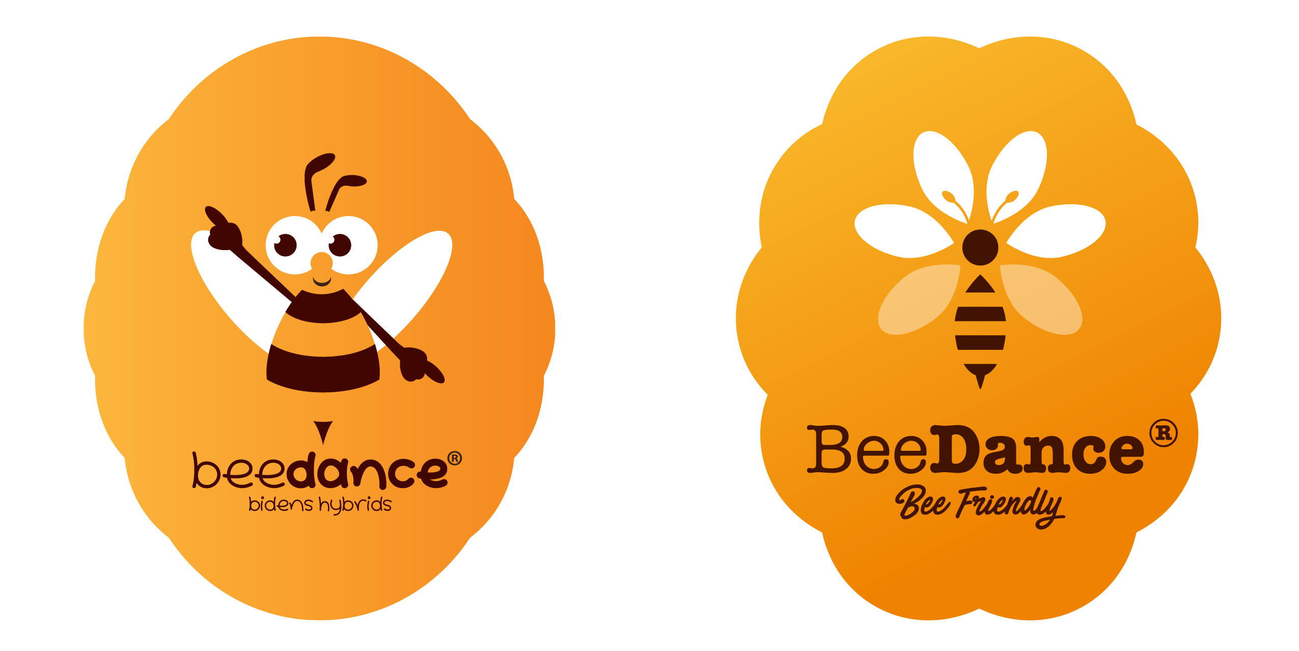 The bee-inspired Beedance® brand. The original Beedance® range consists of compact bee & bee-butterfly-attracting Bidens with striking red and yellow colours. These strong and healthy plants are suitable for almost every climate and can be used as a patio plant, in balcony boxes, hanging baskets and as a bedding plant. There are two Beedance® varieties: Beedance® Painted Red and Beedance® Painted Yellow. Both are irresistible to bees and butterflies, creating biodiversity wherever they are planted. Because of its compact shape, Beedance® is easy to grow and, therefore, perfect for modern cultivation. Its vigorous spreading and trailing habit makes it suitable for many situations, including borders and hanging baskets.